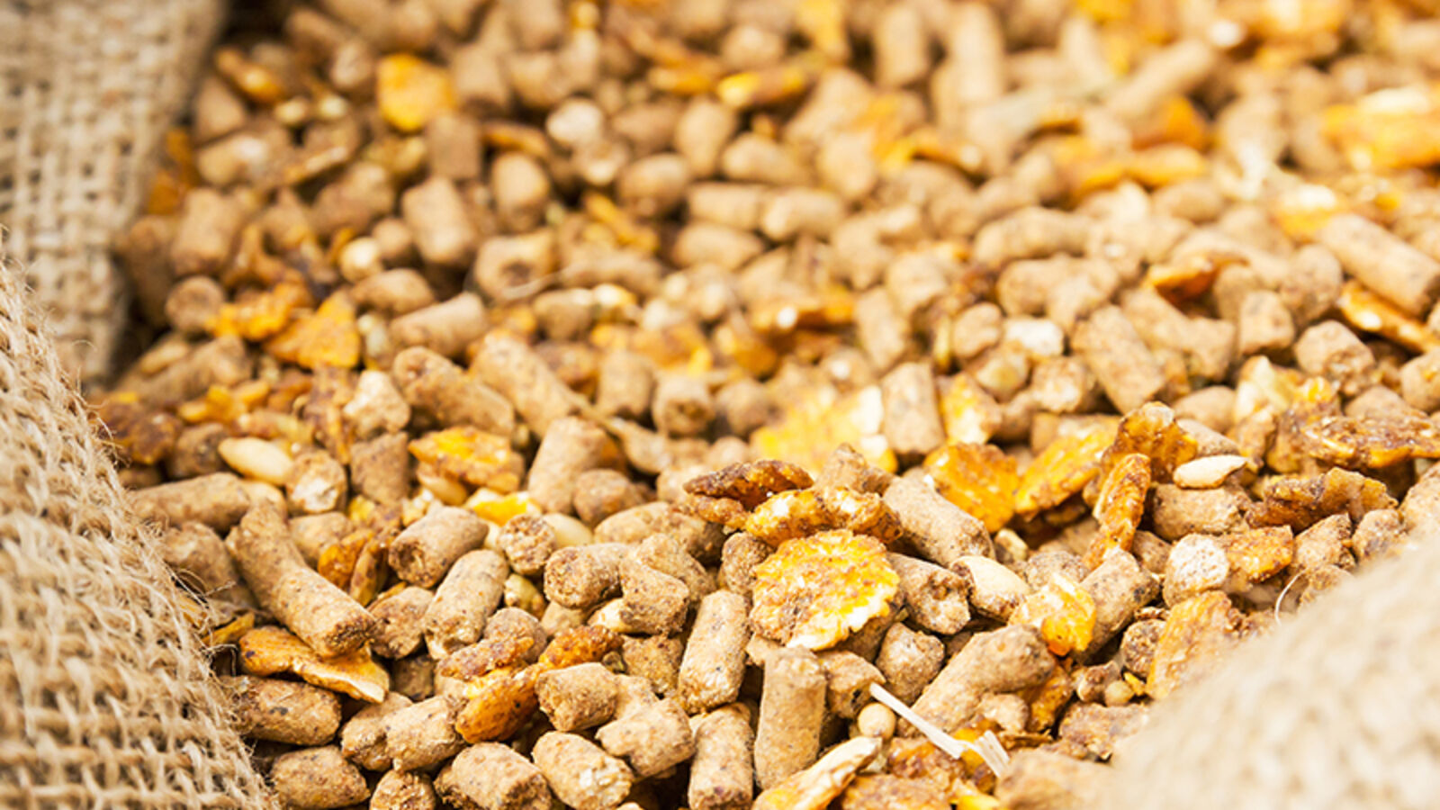 Feed additives